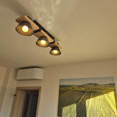 Apartman Vital Na Palave - Ubytovani & Zivotni Restart Pasohlávky Buitenkant foto