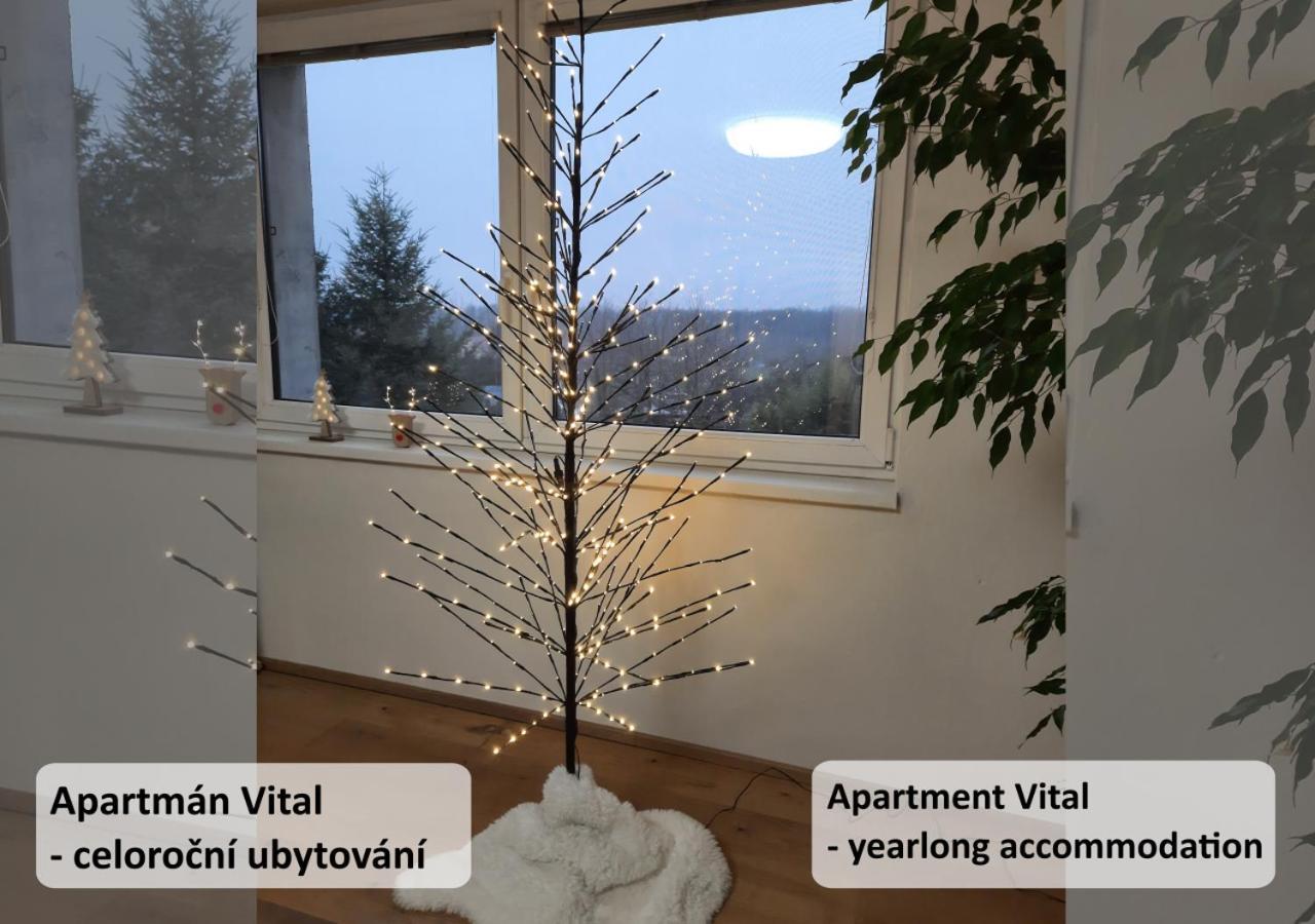 Apartman Vital Na Palave - Ubytovani & Zivotni Restart Pasohlávky Buitenkant foto