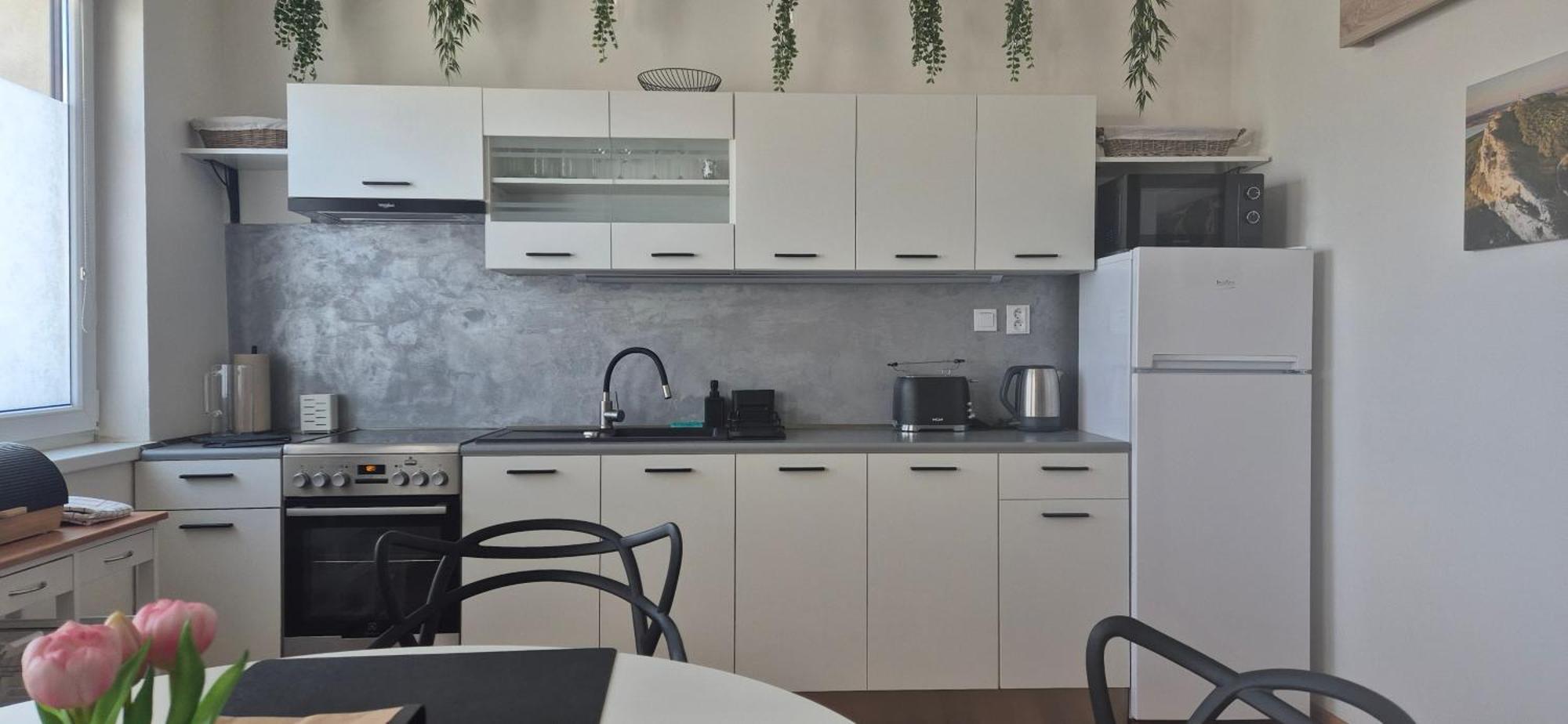 Apartman Vital Na Palave - Ubytovani & Zivotni Restart Pasohlávky Buitenkant foto