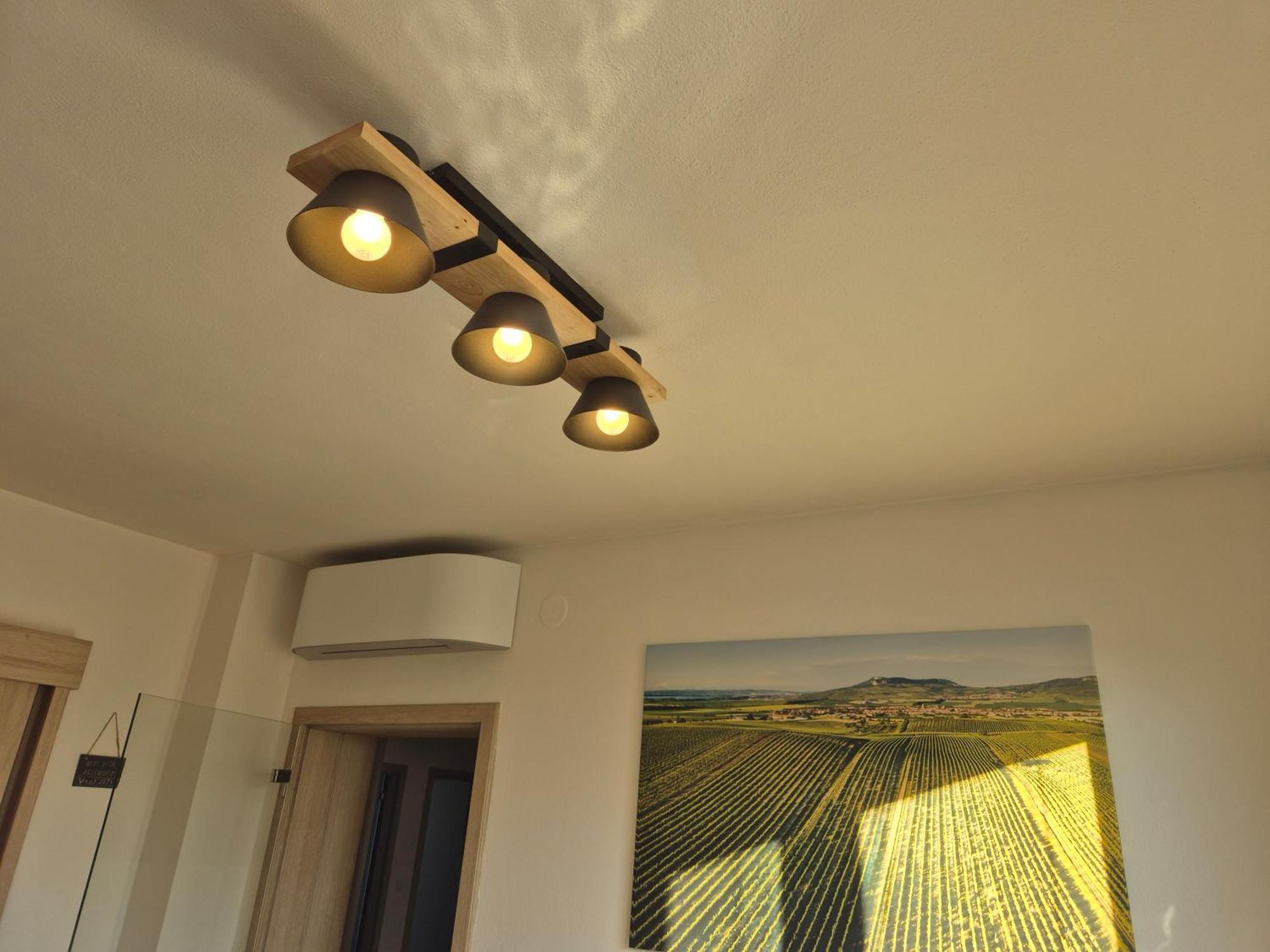Apartman Vital Na Palave - Ubytovani & Zivotni Restart Pasohlávky Buitenkant foto