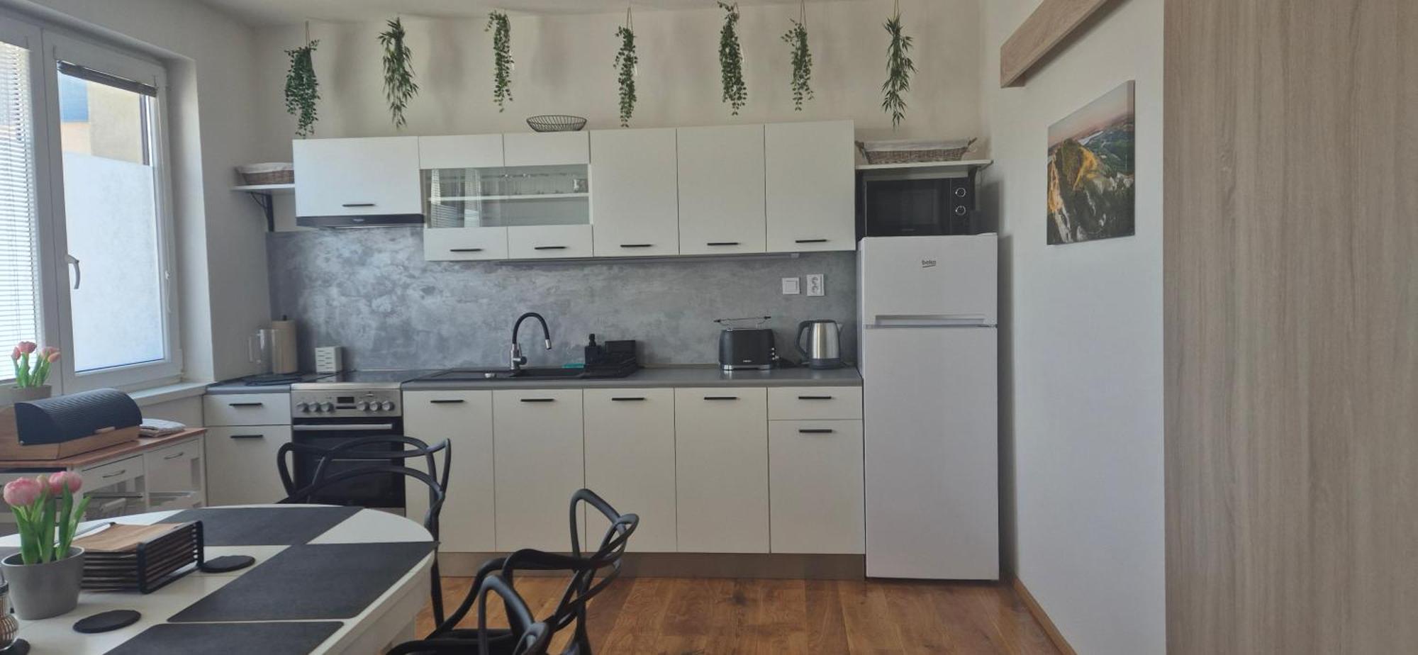 Apartman Vital Na Palave - Ubytovani & Zivotni Restart Pasohlávky Buitenkant foto